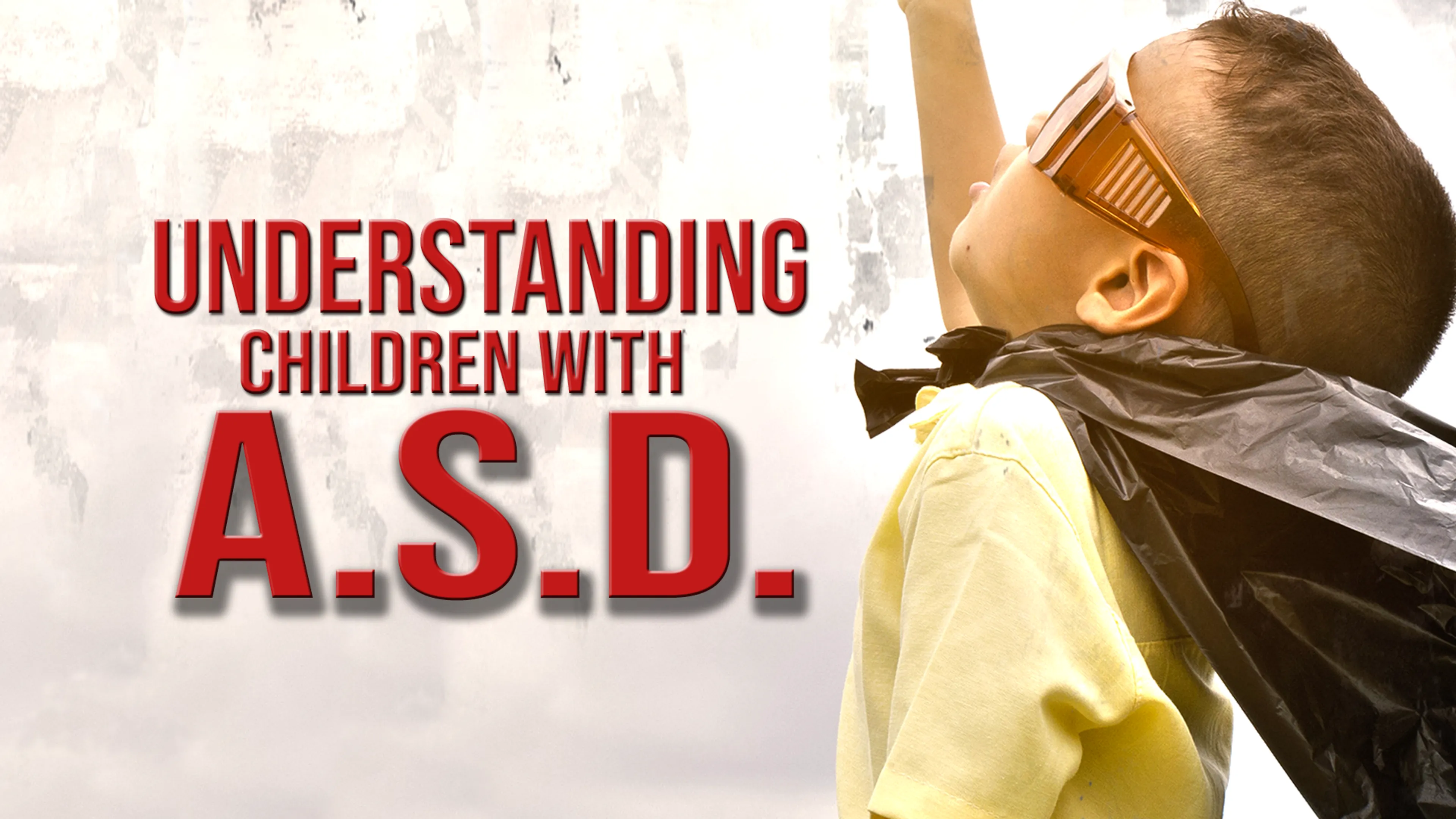 Understanding Children with ASD poster